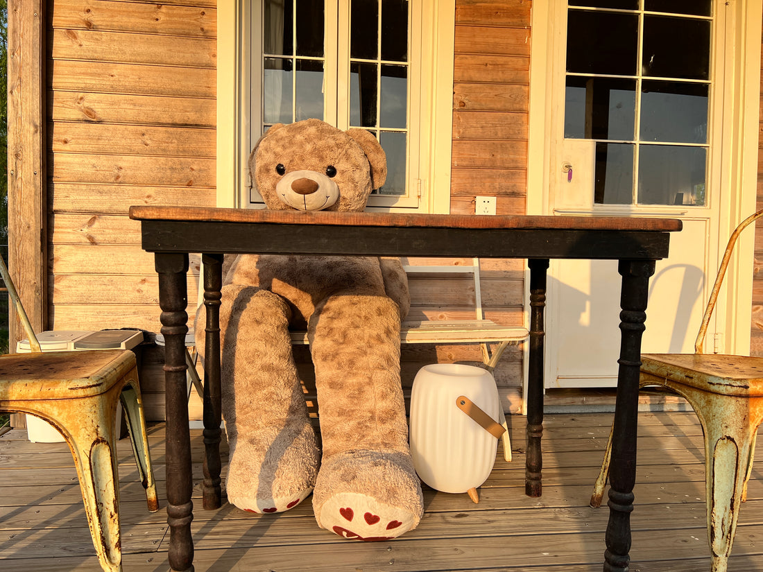 Elevate Your Outdoor Experience: FIFN B01 Speaker Lamp Drink Holder and Children's Bear Toys Beautiful Outdoor Scene